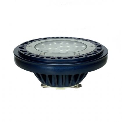 Landscape PAR36 LED Bulb